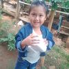 user2851175293418337