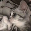 ppinkyyyy2