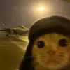 ditaaa_1314