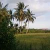 kosong1a5