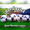 bzfcavies1