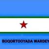wadani771