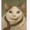 themrkushcat