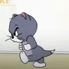 ngcquy213