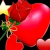 aramhawlery71