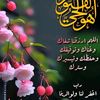 moelhossam