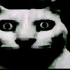 nai_f013