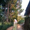 qiss_is