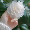 bnmwa1