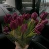 emera_ld197