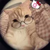 binh.ly.quan