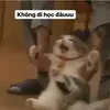 hainamne.ce