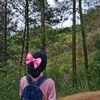 dir_kd