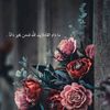mariy_t