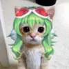 french.gumi