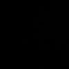 rozeta_7957