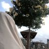 fatma.ahmedd7