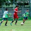 nopall_60