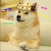 king_doge6715