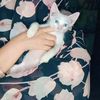 nigaarfatima_2003