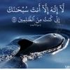 user3461365823565