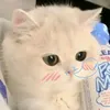 bng_siuln