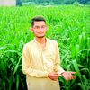 silentplay26