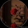 .mohima19