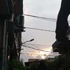 shitt0054