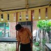 ardiansyah88979