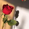 tysyr_4