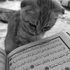 ISLAM_EDITS
