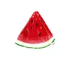 melon22625