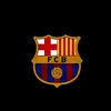 user148205300