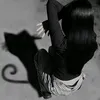 k425600313p