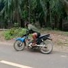 tirta.peratama8
