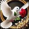 shimaamohamed4716