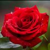 user5671162514004