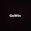 gowin241