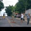 combatiente718