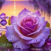 user7811961501866