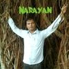 narayanrajak701