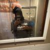 asyaanderson39