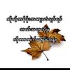 shwe.moe750