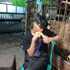 ikypulang