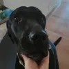 nalitaymami