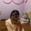 nabillaulyaa
