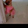 jamilaharris59