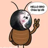 phuong.hang012