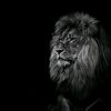 m.a.q.a_kazimov